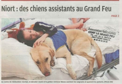 Handi'chiens 1